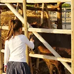 Séjour à la ferme Giuncola & Granaiolo *
