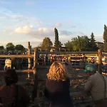 Giuncola & Granaiolo
