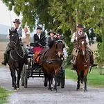 Séjour à la ferme Giuncola & Granaiolo *