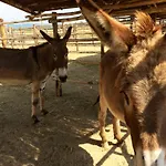 Séjour à la ferme Giuncola & Granaiolo Rispescia